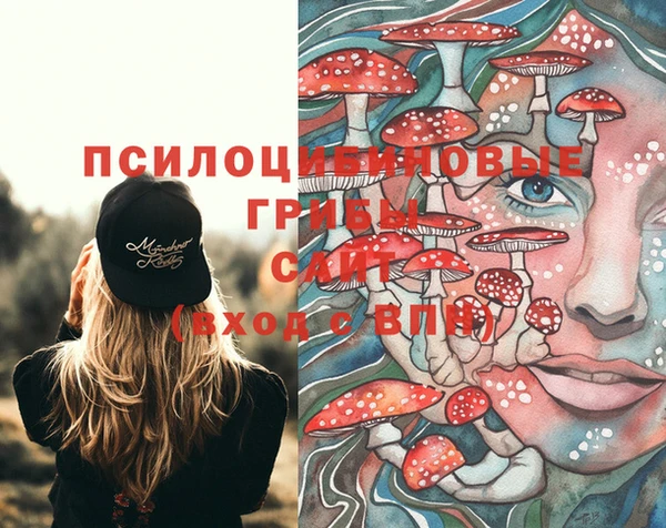 mdma Бородино