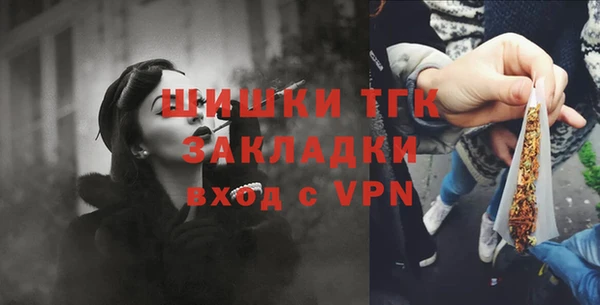 прущие грибы Володарск