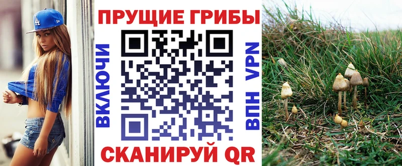 Псилоцибиновые грибы GOLDEN TEACHER  Гусиноозёрск 